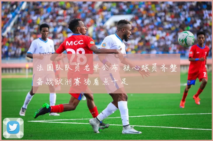 法国队队员名单公布 核心球员齐整备战欧洲赛场看点十足