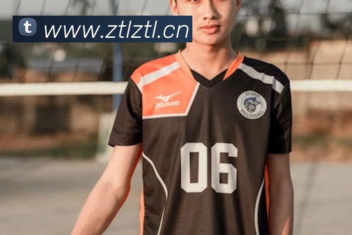 App Interface Preview